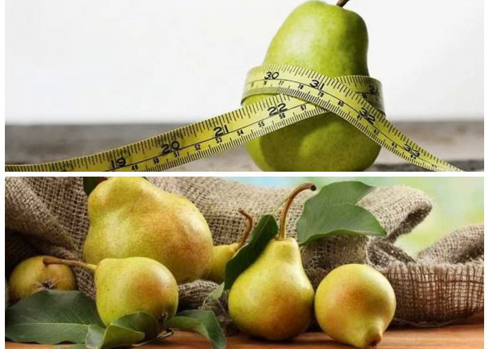 Segar dan Bergizi! Fakta Menarik Tentang Buah Pir dan Khasiatnya untuk Kesehatan