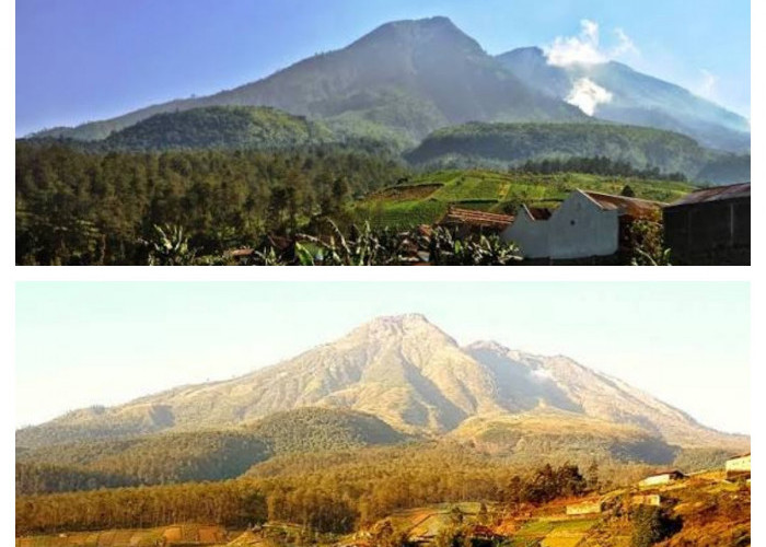 Menguak Misteri Puncak Gunung Lawu: Panduan Jalur Pendakian Menuju Makom Keramat yang Diselimuti Legenda!
