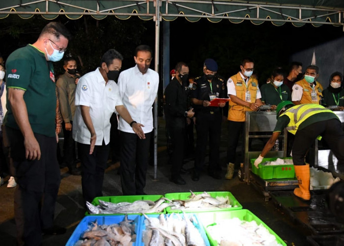 Presiden Jokowi Tinjau Unit Pengolahan Ikan dan Budidaya Rumput Laut di Provinsi Maluku 