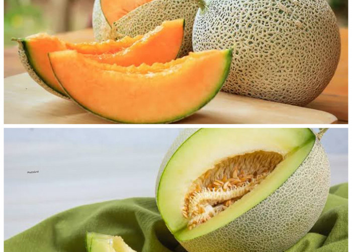Manfaat Buah Melon bagi Kesehatan Tubuh: Sumber Hidrasi, Vitamin, dan Nutrisi Alami untuk Menunjang Gaya Hidup