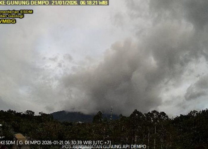 Gunung Dempo Berstatus Waspada: PVMBG Rekam Gempa Tektonik dan Tremor Menerus, Wisatawan Dilarang Mendekat!