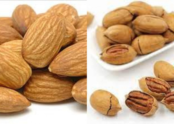 Yuk Intip! 8 Manfaat Kacang Kenari Dan Beragam Kandungan Yang Luar Biasa