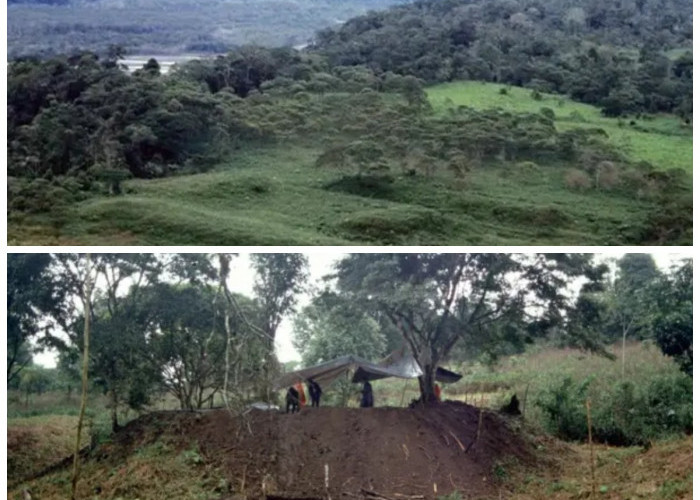 Penemuan Mengejutkan: Kota Kuno Berusia 2.500 Tahun Ditemukan di Hutan Amazon