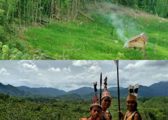 Warisan Alam Kalimantan Terancam! Apa yang Bisa Dilakukan oleh Suku Dayak?