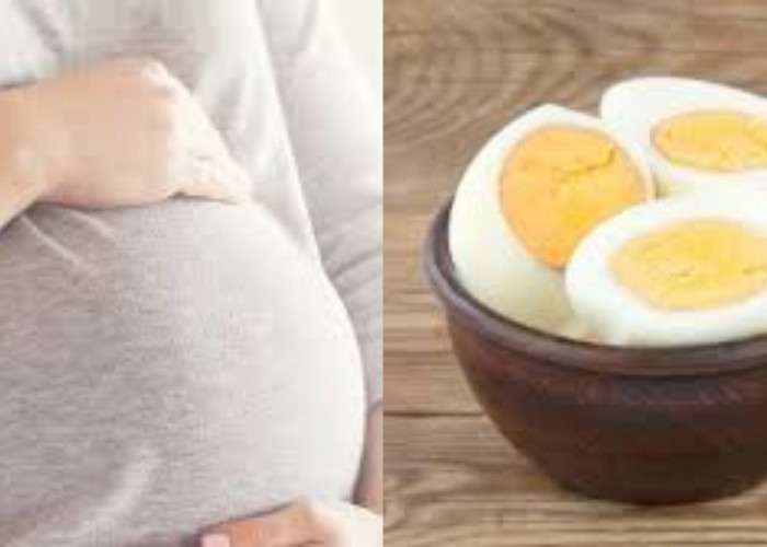 Kabar Bagus! Ternayata Telur Rebus Banyak Manfaatnya untuk Kamu yang Sedang Program Hamil