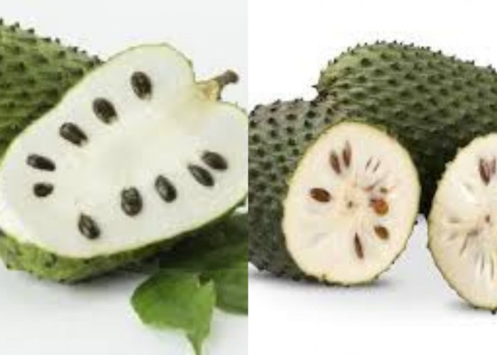 Yuk Ketahui! Inilah Manfaat Sirsak Untuk Penderita Kanker Yang Jarang Diketahui