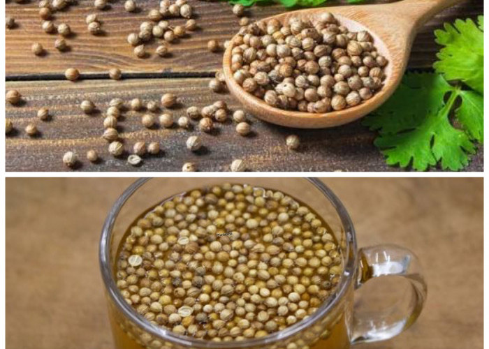 Rahasia Air Rebusan Ketumbar: Minuman Sederhana dengan Segudang Manfaat untuk Tubuh!