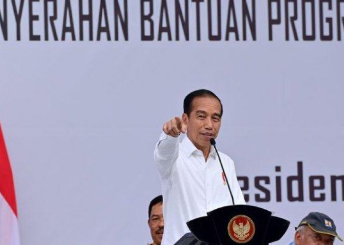 Jokowi Prediksi Bulan April Harga Beras Turun Dengan Adanya Panen Raya, Ini Penjelasannya! 