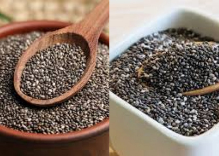 Catat Yuk Guys! 6 Manfaat Chia Seed Untuk Kesehatan Yang Jarang Diketahui