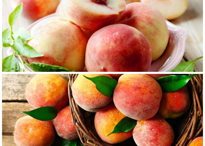 Manfaat Buah Peach yang Jarang Diketahui untuk Kesehatan Tubuh