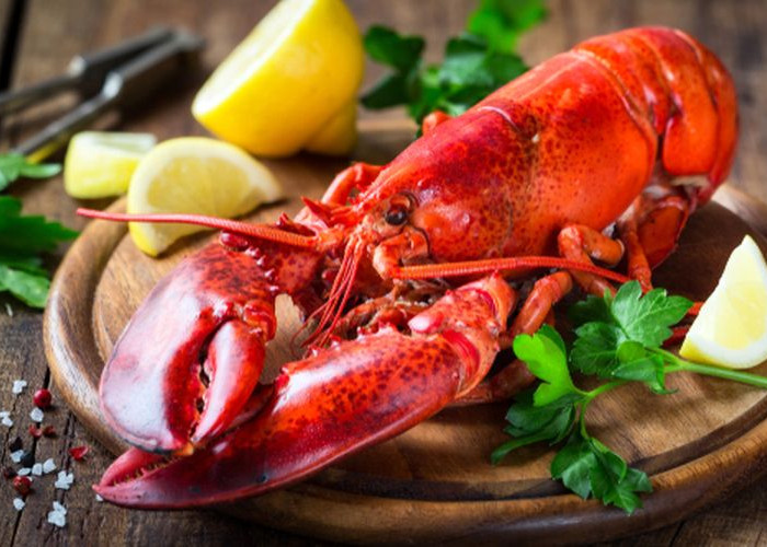Kaya Akan Protein! Inilah Deretan Manfaat Lobster untuk Kesehatan 