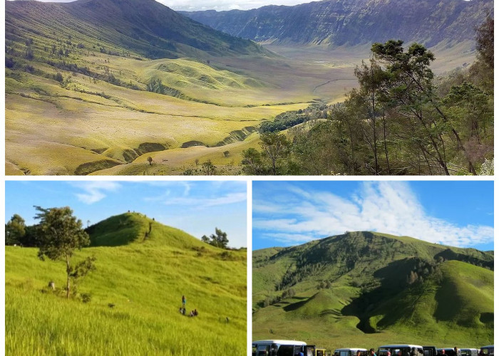 Sejarah Bukit Teletubbies: Dari Alam Liar Menjadi Ikon Wisata Instagramable!