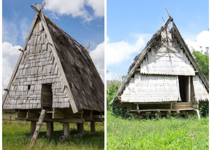 Sejarah Sulawesi Tengah: Rumah Tambi, Warisan Arsitektur Leluhur yang Sarat Makna Budaya!