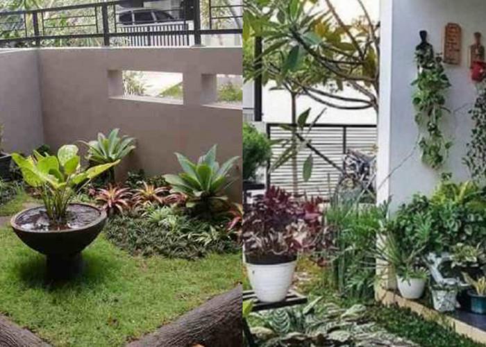 Inspirasi Taman Depan Rumah Sederhana yang Cantik dan Menyegarkan!