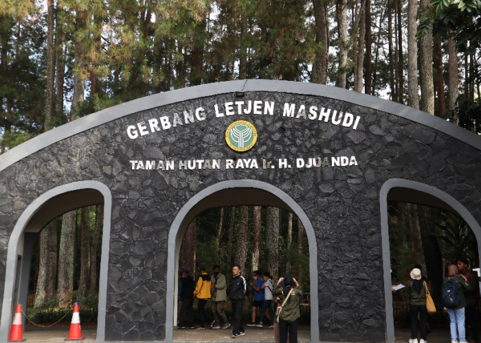 Menyelami Sejarah dan Keindahan Taman Hutan Raya Ir. H. Djuanda, Bandung