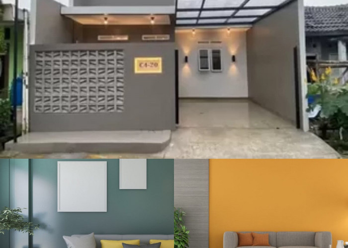 12 Warna Cat Rumah Terbaik 2026: Nuansa Lembut dan Netral untuk Hunian yang Tenang