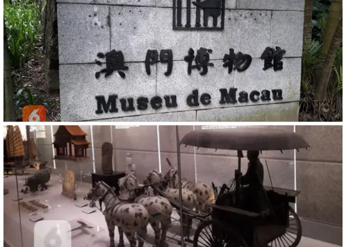 Mengenal Sejarah di Museum of Macau: Menelusuri Jejak Budaya Timur dan Barat!