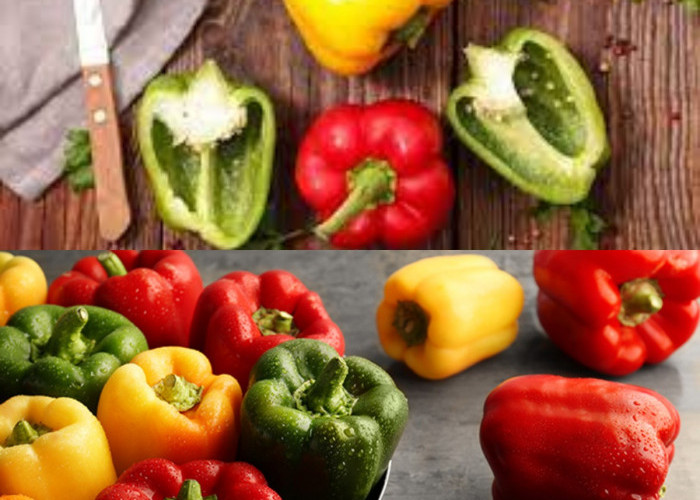 Mengenal Manfaat dan Khasiat Luar Biasa dari Paprika yang Kaya Akan Antioksidan 