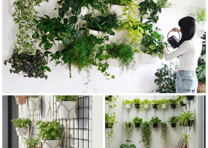 Jangan Dibuang! Ini 7 Ide Pot Tanaman Dinding dari Barang Bekas Dapur yang Estetik!