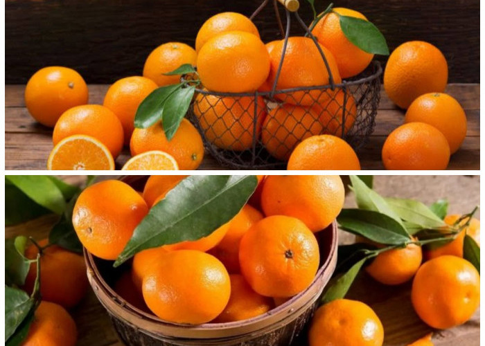 Rahasia Kesehatan dari Jeruk Baby: Nutrisi dan Manfaat yang Wajib Diketahui