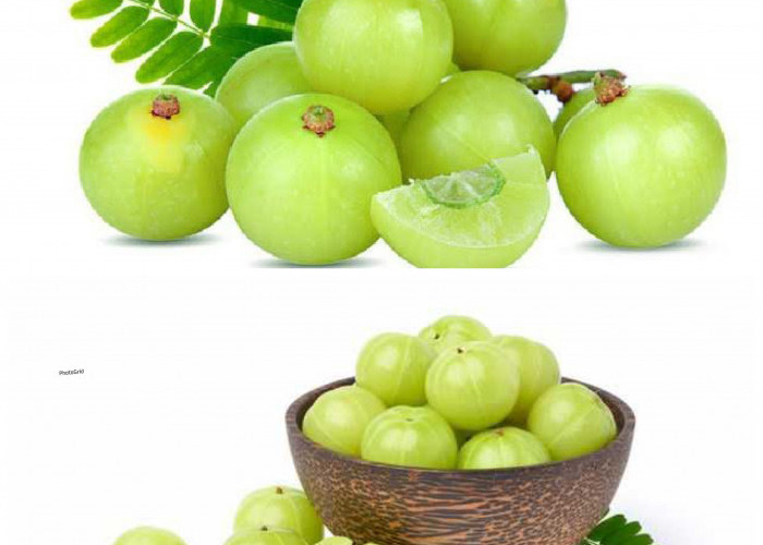 Buah Malaka: Si Kecil Kaya Manfaat dengan Segudang Khasiat bagi Kesehatan!