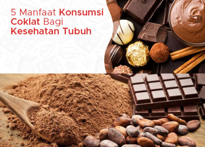 Benarkah Kakao dan Cokelat Bisa Bikin Sehat? Ini 5 Manfaat Luar Biasa yang Wajib Anda Tahu!