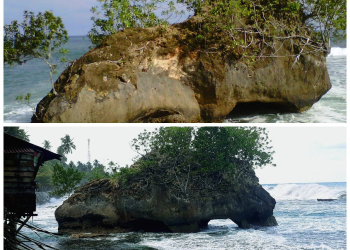 Fenomena Unik Batu Atola: Misteri Batu Bergerak di Pulau Nias Selatan yang Belum Terpecahkan