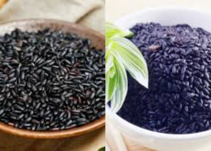 7 Manfaat Ketan Hitam dan Efek Samping yang Harus Kalian waspadai