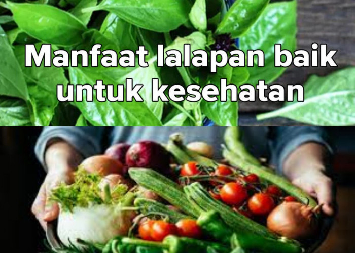 Lalapan Sayur Segar Bisa Memperkuat Kekebalan Tubuh? Ini 5 Manfaatnya!