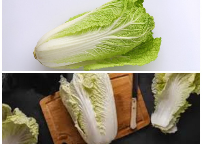 Terungkap! 8 Manfaat Sawi Putih yang Baik untuk Kesehatan Tubuh