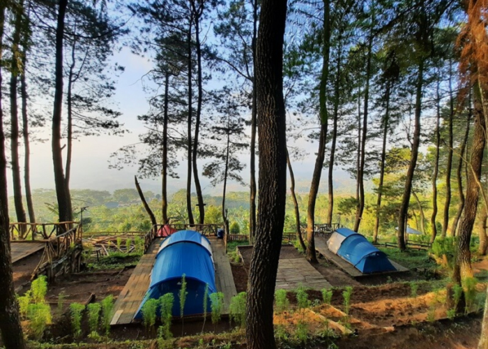 Takut Trek Pendakian Sulit? Berikut 7 Tempat Camping di Kuningan dengan Jalur Pendakian yang Mudah!