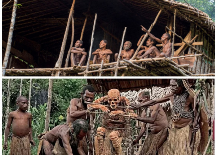 Sejarah Suku Korowai: Kehidupan Rumah Pohon dan Kearifan Leluhur di Pedalaman Papua!