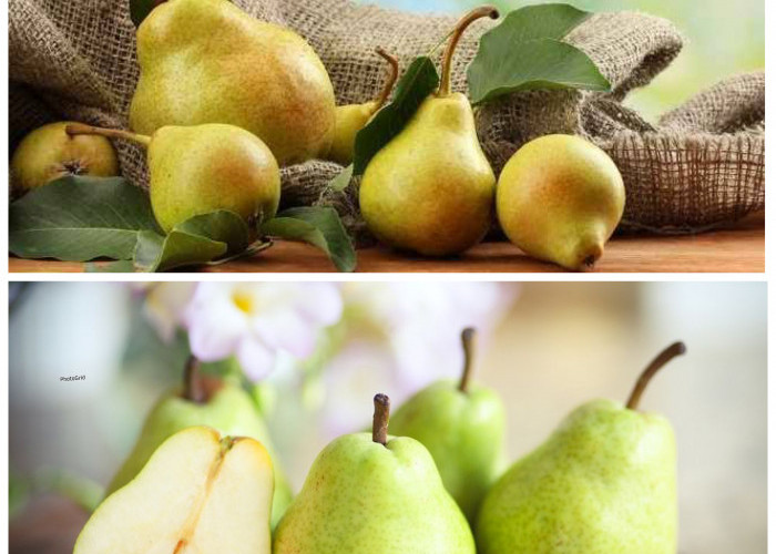 Manfaat Buah Pir bagi Kesehatan Tubuh yang Jarang Diketahui!