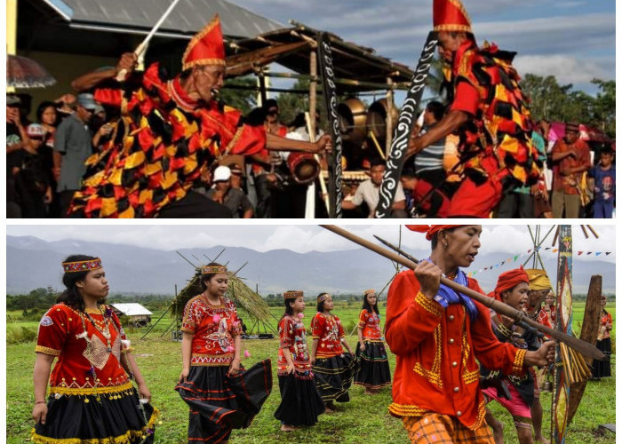 Kearifan Lokal Suku Padoe: Menyelami Tradisi dan Sejarah dari Pedalaman Sulawes