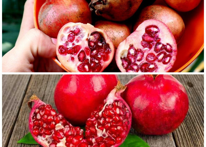 Kaya Antioksidan! Ini Deretan Manfaat Buah Delima yang Sayang untuk Dilewatkan