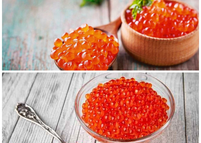 Manfaat Telur Ikan untuk Kesehatan: Sumber Gizi Laut yang Kaya Nutrisi dan Khasiat!