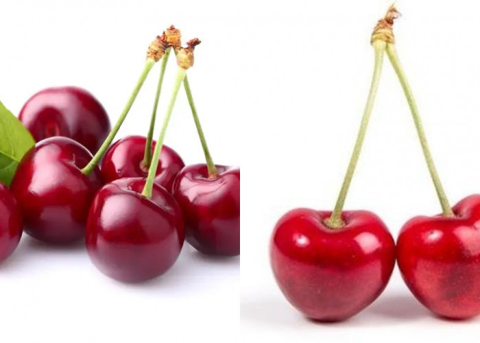 7 Manfaat Ceri untuk Kesehatan yang Jarang Diketahui