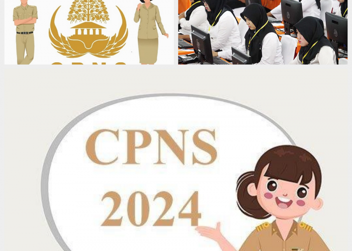 Jadwal, Syarat, dan Cara Daftar CPNS 2024, Simak Selengkapnya Disini!