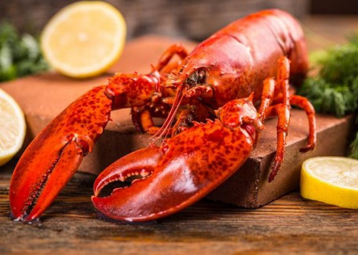 Meningkatkan Imunitas Tubuh, Ini 5 Manfaat Dari Mengonsumsi Lobster! 