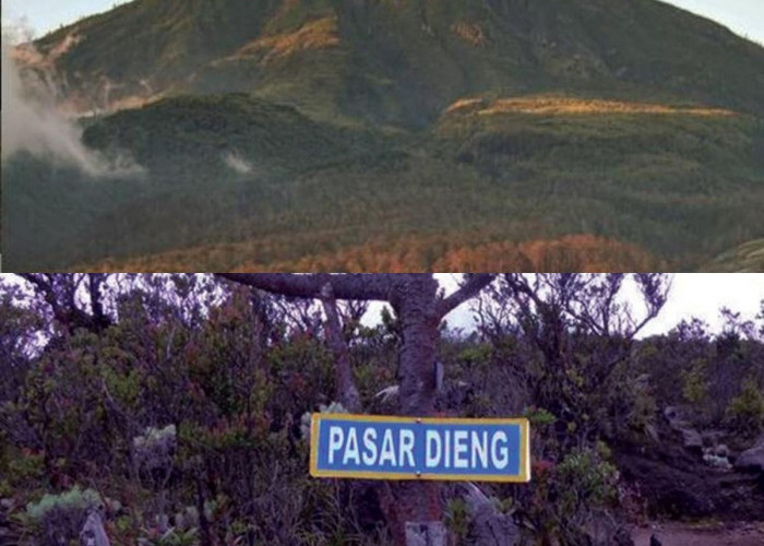 Siap Menguji Nyali? 4 Tempat Angker di Gunung Lawu yang Penuh Misteri!