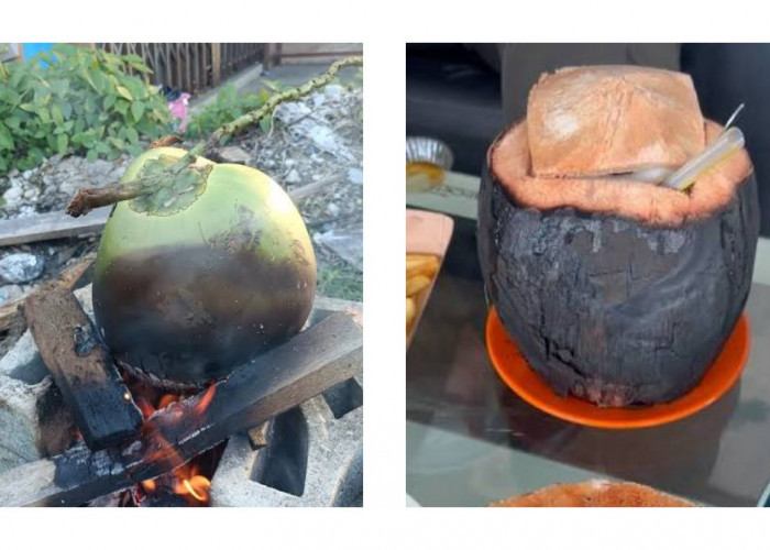 Manfaat Air Kelapa Bakar: Minuman Tradisional yang Hangat dan Menyegarkan