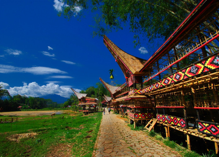 Menelisik Tempat Wisata Toraja yang Sering Dikunjungi Traveller!
