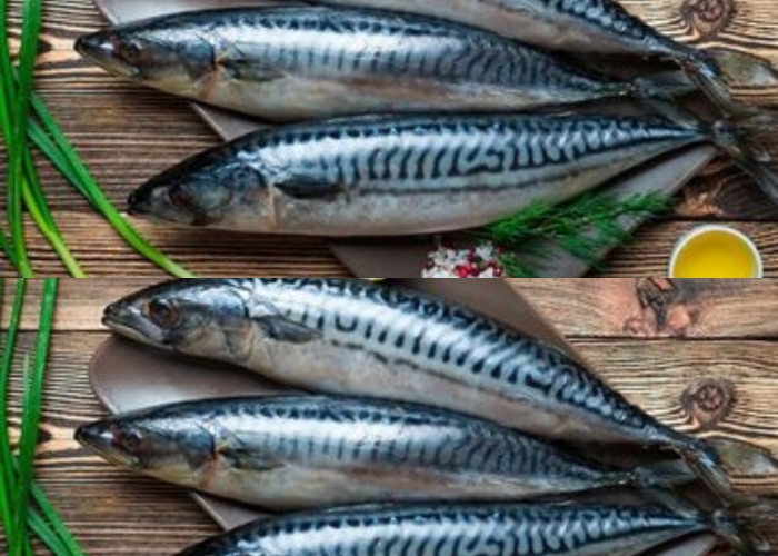 Inilah Kandungan Nutrisi Dan Manfaat Ikan Sarden Untuk Kesehatan Yang Jarang Diketahui! 