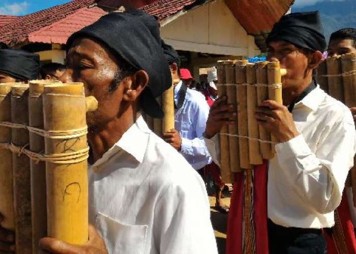 Bagaimana Seni dan Musik Mandar Menciptakan Keindahan Budaya? Ini Alasaannya!