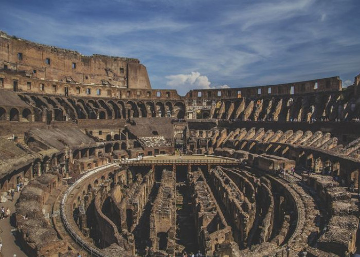 Baru Tau, Begini Cara Orang Romawi Bawa Hewan Buas Ke Colosseum