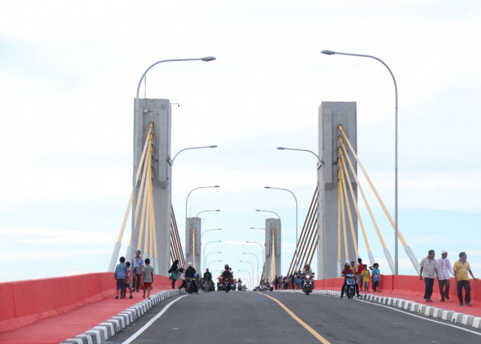 Warga Kawasan Jembatan Musi IV Palembang Lakukan Demo, Ini Alasannya
