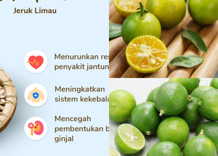 Sudah Tahu Belum? Ini 5 Manfaat Kesehatan dari Jeruk Limau yang Wajib Diketahui!