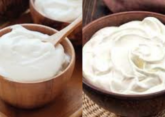 Greek Yoghurt: Camilan Enak Bikin Tubuh Sehat dan Bugar Ini Penjelasanya