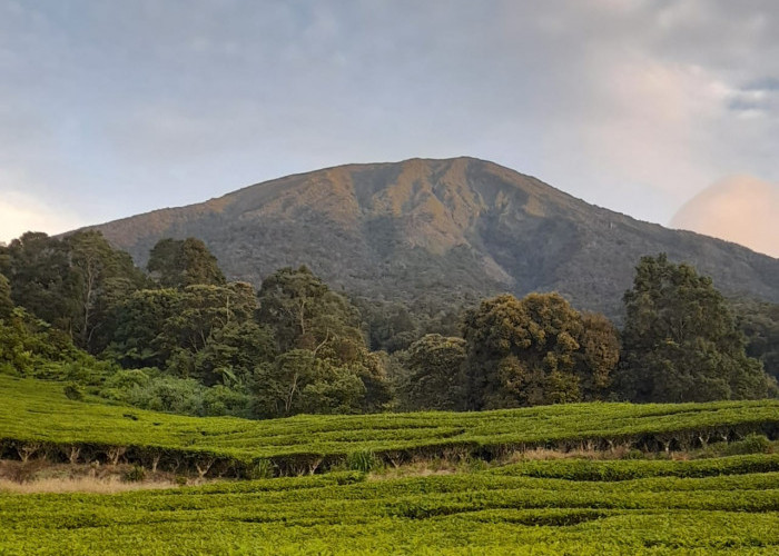 Bingung Cari Tempat Healing? Inilah 5 Gunung Yang Wajib Kamu Kunjungi Saat Berada di Sumatera