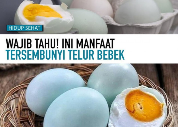 Telur Bebek: Rahasia Kesehatan yang Jarang Diketahui? Ini 5 Alasannya!